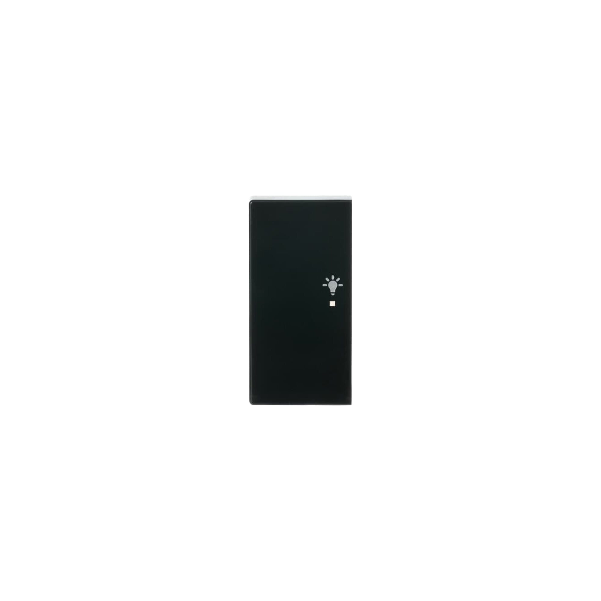 Busch-Jaeger Abdeckplatte Busch-Jaeger Wippe 2-f li, Symbol Licht anthrazit 6231-21-81