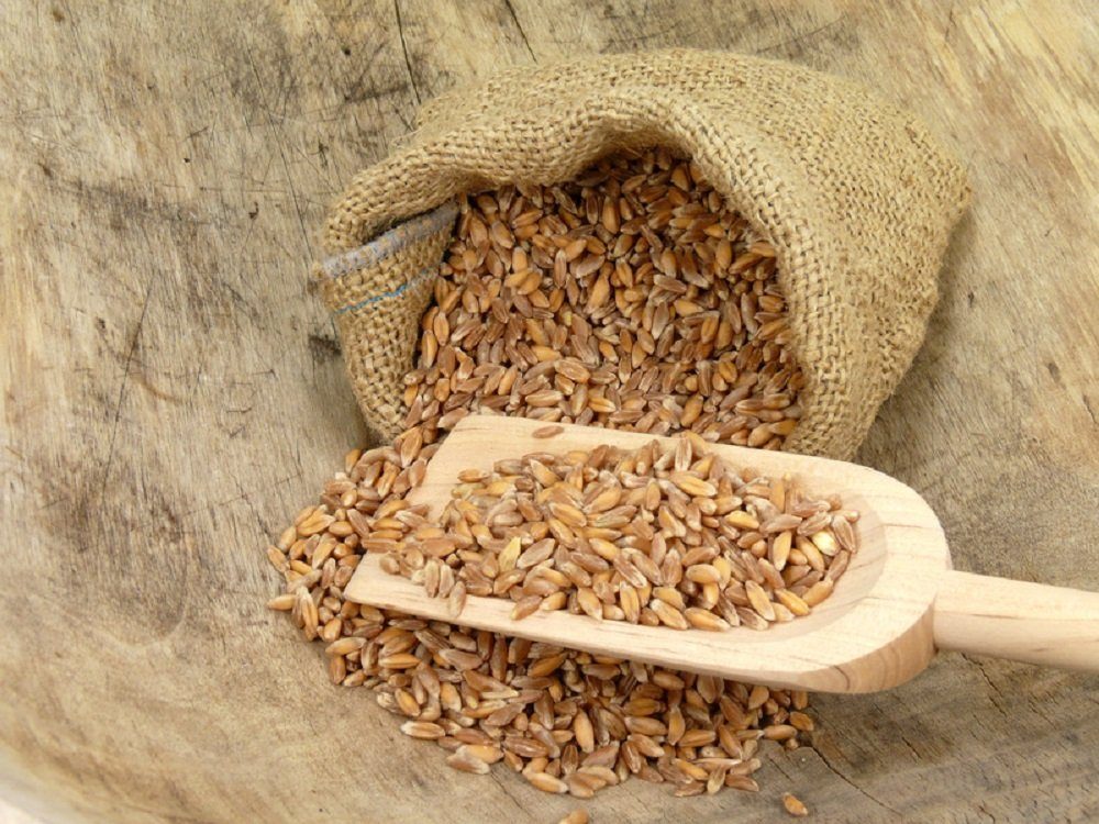 HaGa Gartensack Jutesack 60cm x 110cm Kartoffelsack Jute, (1-tlg)