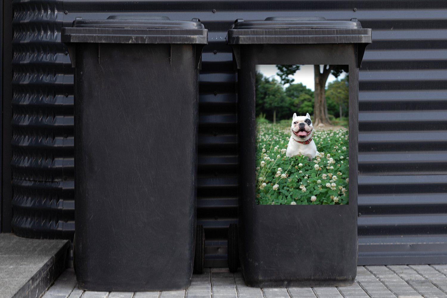 - Bulldogge St), Blumen (1 Wandsticker Container, Hund - Mülltonne, MuchoWow Abfalbehälter Mülleimer-aufkleber, Sticker,