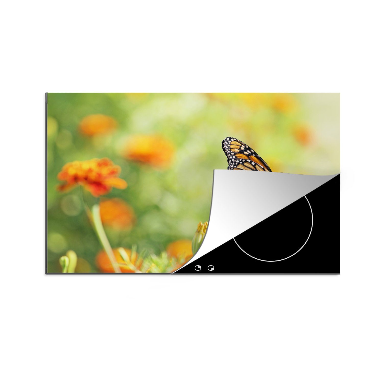MuchoWow Herdblende-/Abdeckplatte Monarchfalter auf Blüte, Vinyl, (1 tlg), 81x52 cm, Induktionskochfeld Schutz für die küche, Ceranfeldabdeckung