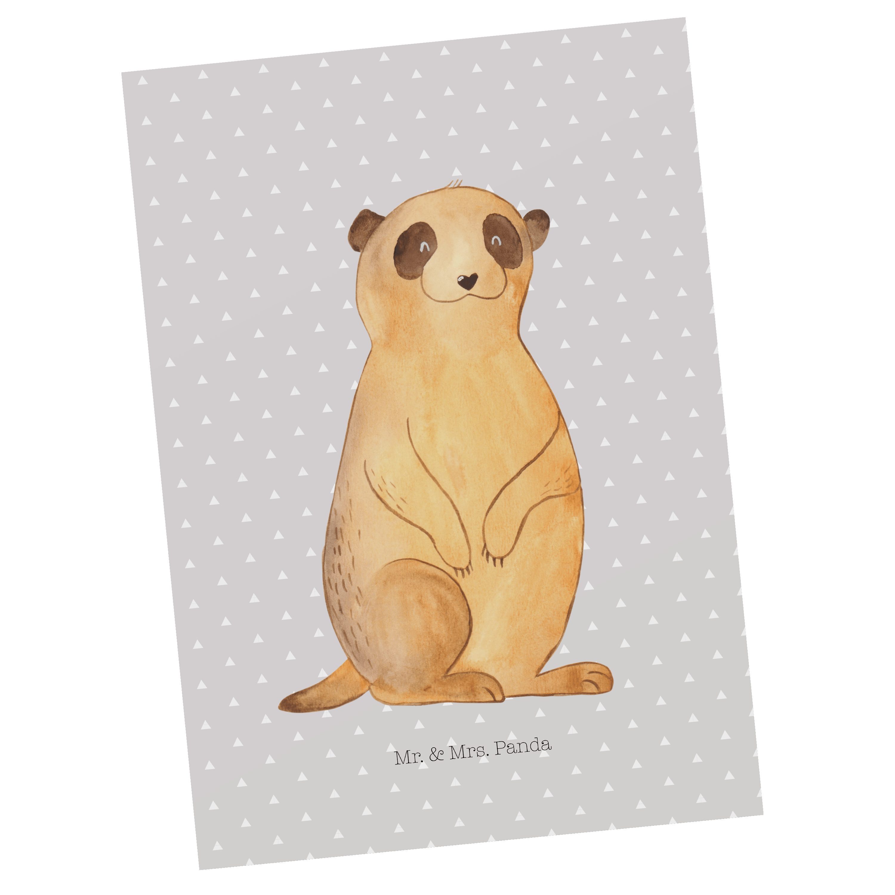 Panda - Grau Geschenk, Geschenkkarte, Spruch, Erdmännchen Postkarte Wildtie - & Mr. Pastell Mrs.