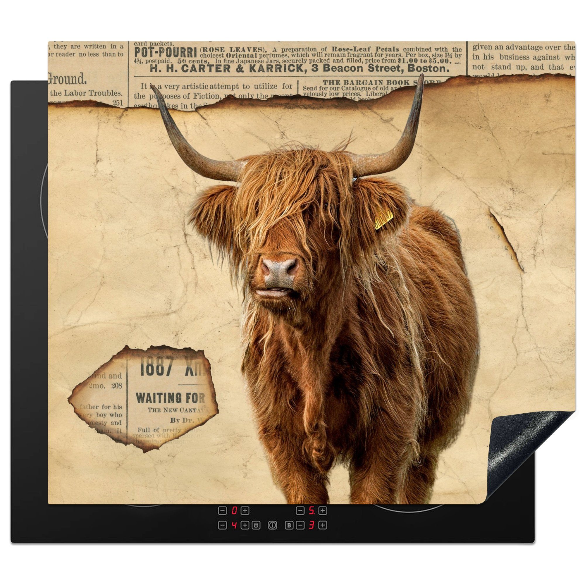 MuchoWow Herdblende-/Abdeckplatte Schottischer Highlander Ceranfeldabdeckung tlg), Vintage cm, die Kuh, - Induktionsmatte küche, 59x52 - Vinyl, (1 für