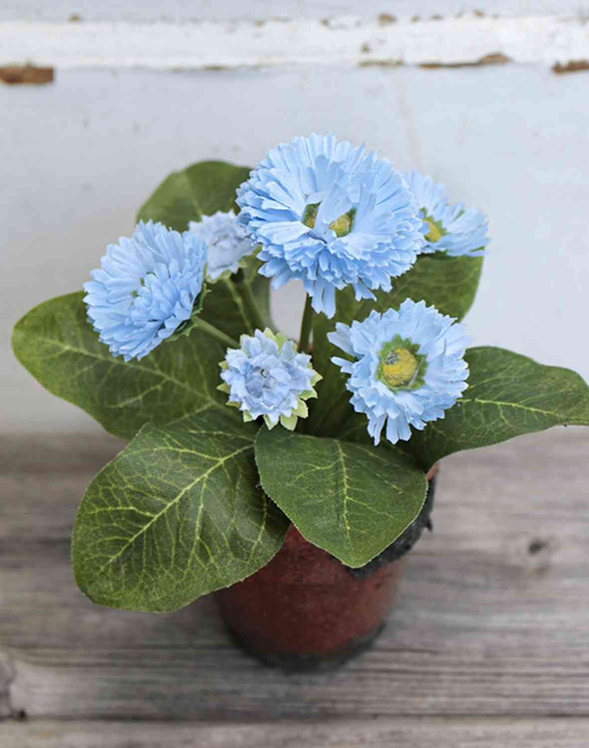 Kunstblume Künstliche Gänseblümchen Morgana, Terracottatopf, hellblau, 15cm Gänseblümchen, artplants, Höhe 15.0 cm