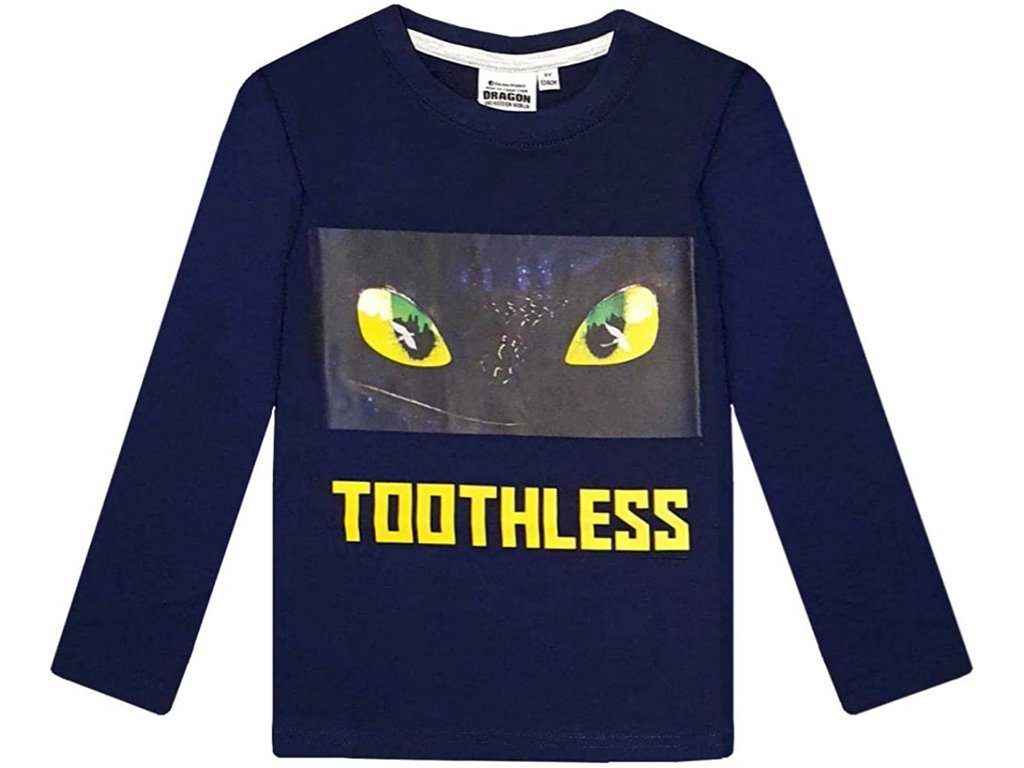 DreamWorks Langarmshirt Dragons Langarmshirt Hicks und günstig online kaufen