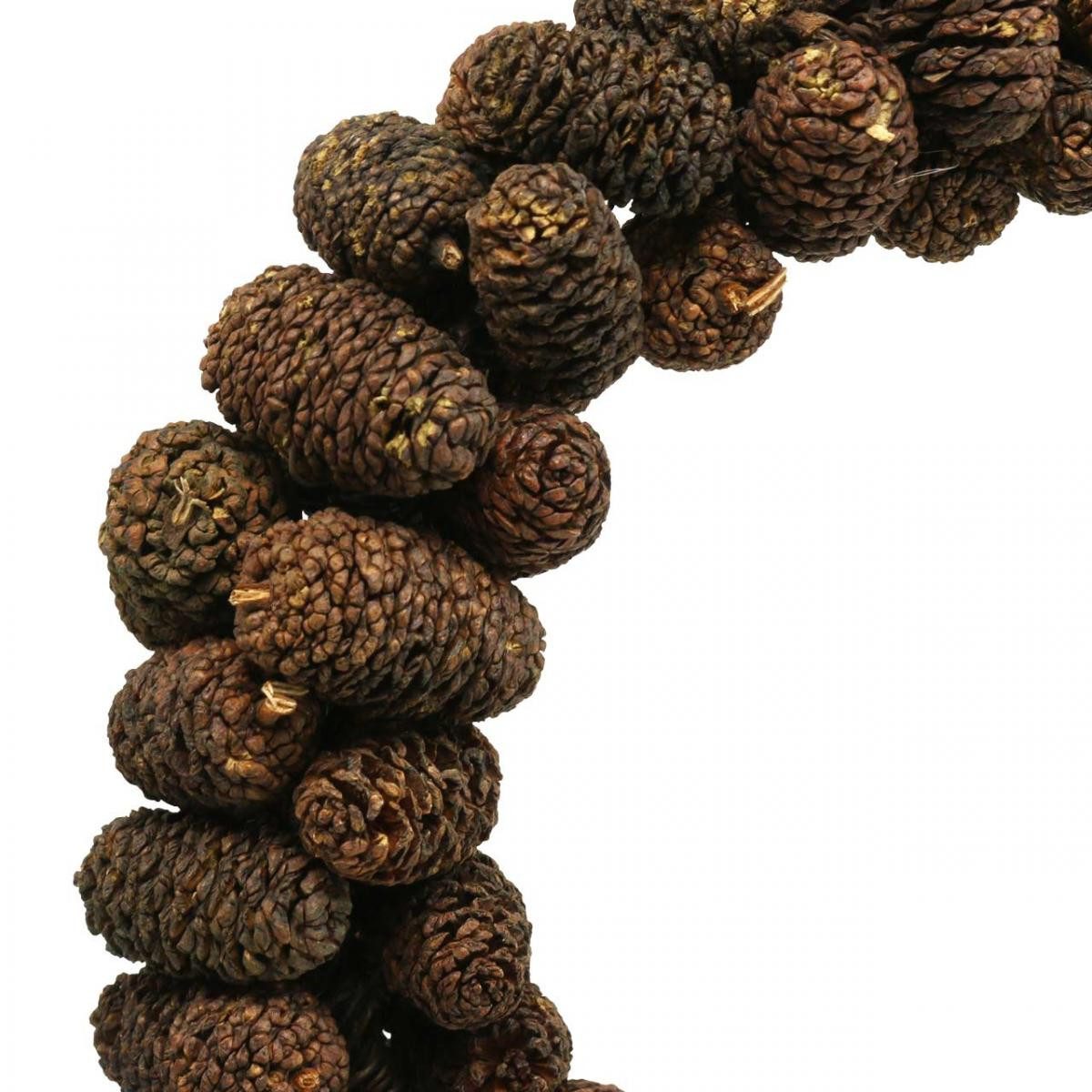 Trockenblume Zapfenkranz Türkranz Deko Erlenzapfen Natur günstig online kaufen