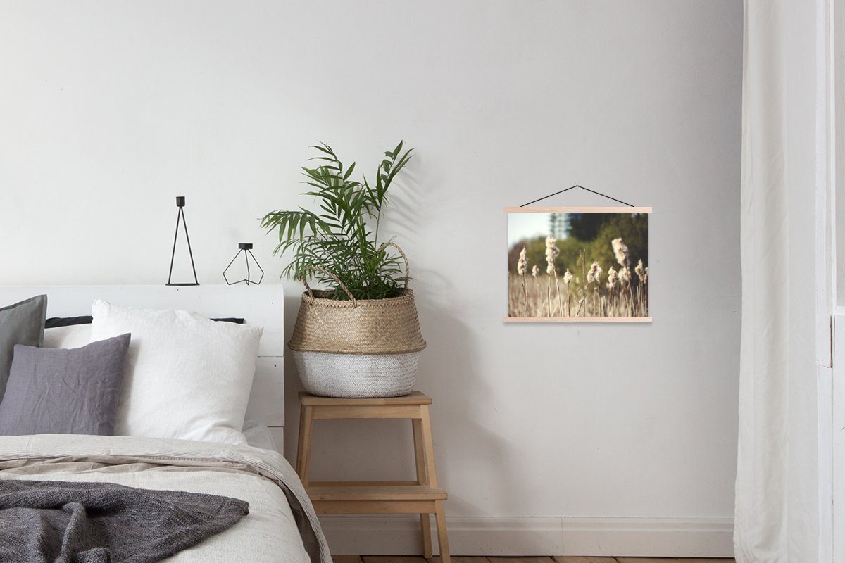 (1 Pflanzen, St), Textilposter Posterleiste, Baumwolle Sonne - Magnetisch für Poster Wohnzimmer, MuchoWow - Bilderleiste,