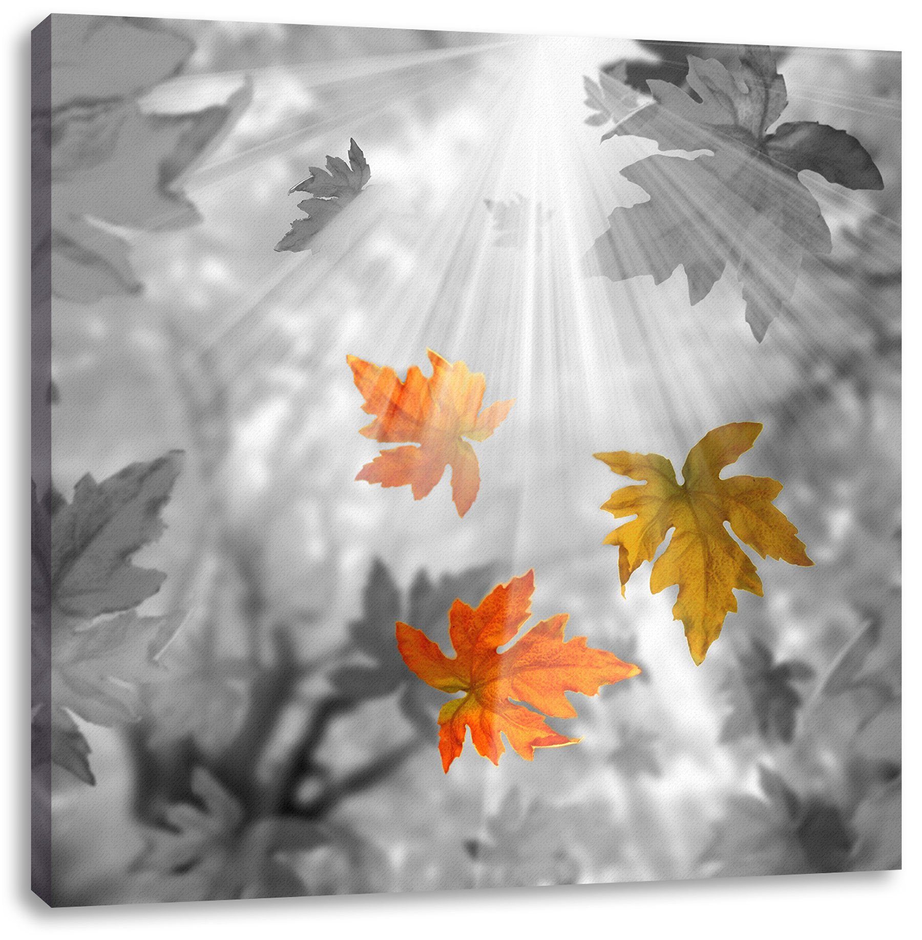 herabfallende Herbstblätter, bespannt, Leinwandbild Herbstblätter Pixxprint fertig Leinwandbild (1 herabfallende St), Zackenaufhänger inkl.