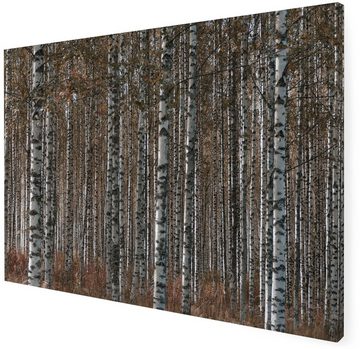 Art for the home Leinwandbild Outdoor Birkenwald 50x70cm, (1 St)