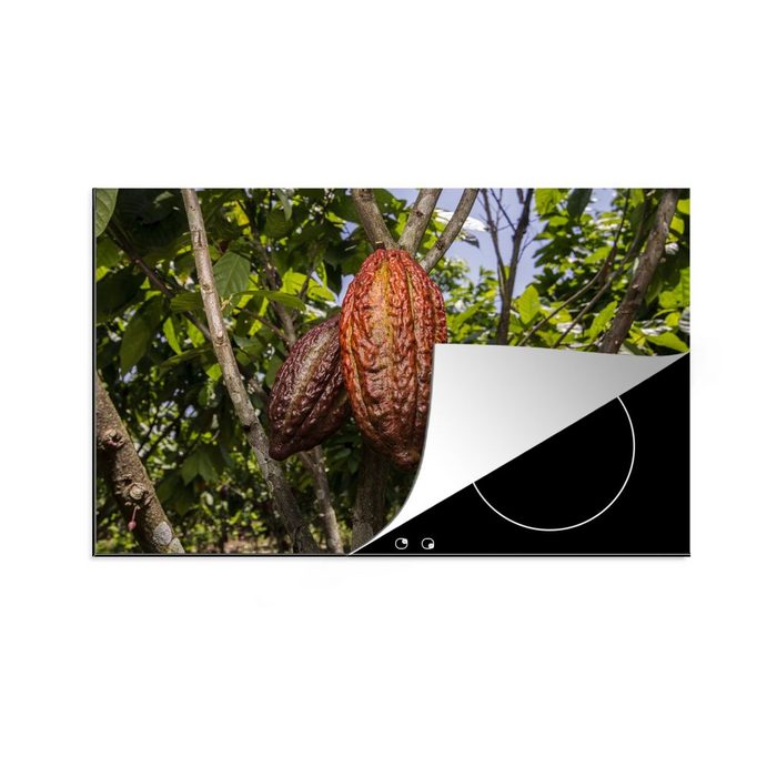 MuchoWow Herdblende-/Abdeckplatte Tropische Farben der Schotenhaut um die Kakaobohnen Vinyl (1 tlg) induktionskochfeld Schutz für die küche Ceranfeldabdeckung