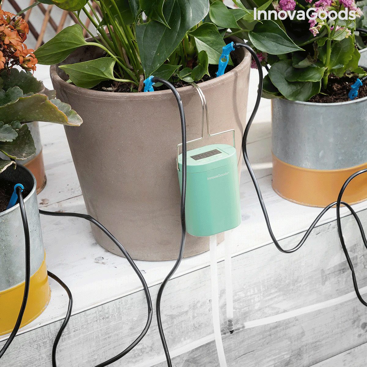InnovaGoods Blumensamen InnovaGoods® automatisches Tropfbewässerungssystem für Töpfe Regott