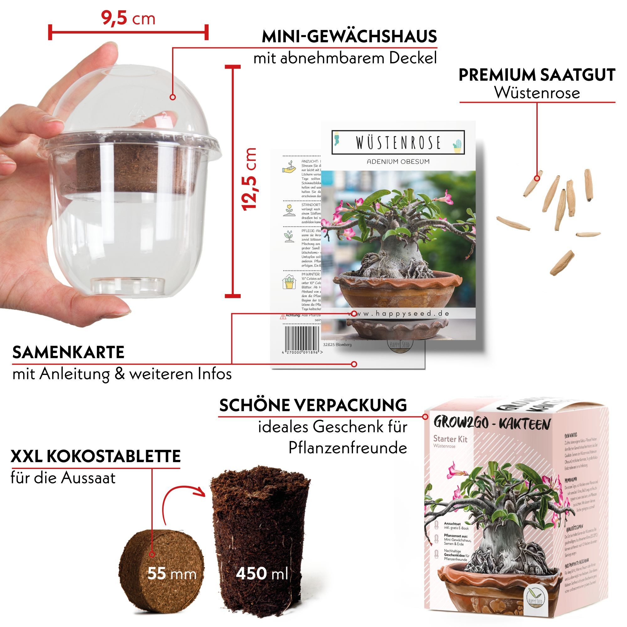 HappySeed Blumensamen Kakteen Starter Kit Anzuchtset günstig online kaufen