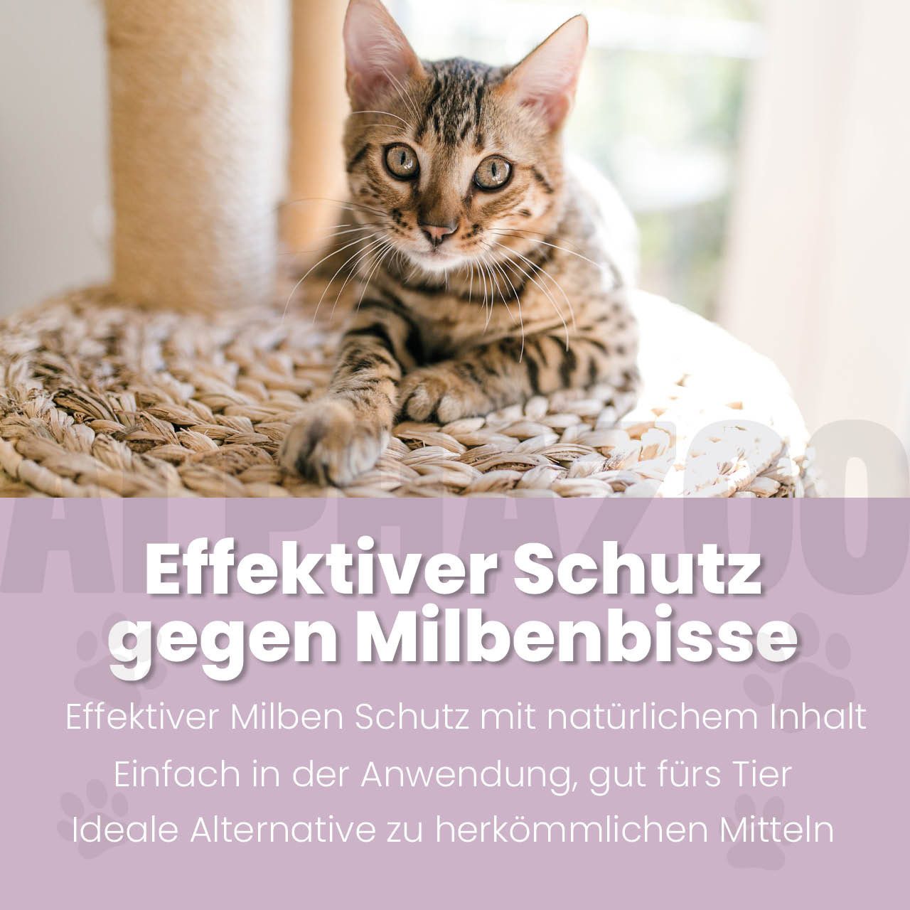ALPHAZOO Milbenspray MilbHunter Spot-On für Katzen 100 ml, 100 ml, 1-St., Einfach gegen Milben und Grasmilben – Bild 2 von 5