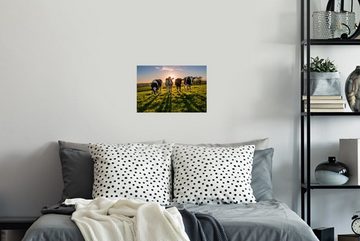 MuchoWow Wandsticker Kühe - Sonne - Gras - Tiere - Bauernhof (1 St), Wandaufkleber, Wandtattoo, Selbstklebend, Wohnzimmer, Schlafzimmer