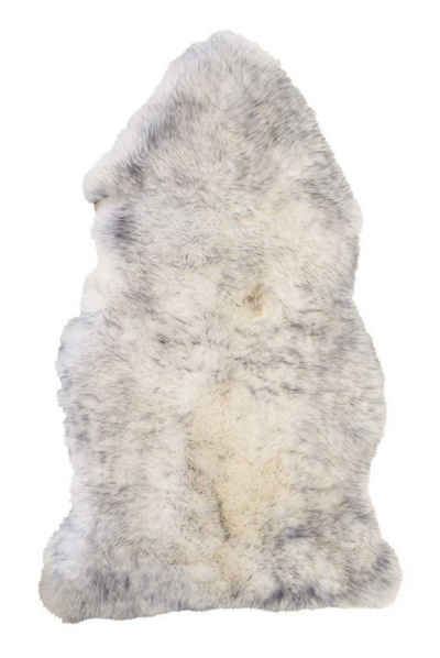 Fellteppich ILGEN, Schafffell, Wolfsgrau, B 85 cm, fellförmig