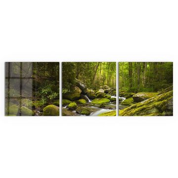 DEQORI Glasbild 'Sattgrüne Waldkulisse', 'Sattgrüne Waldkulisse', Glas Wandbild Bild schwebend modern
