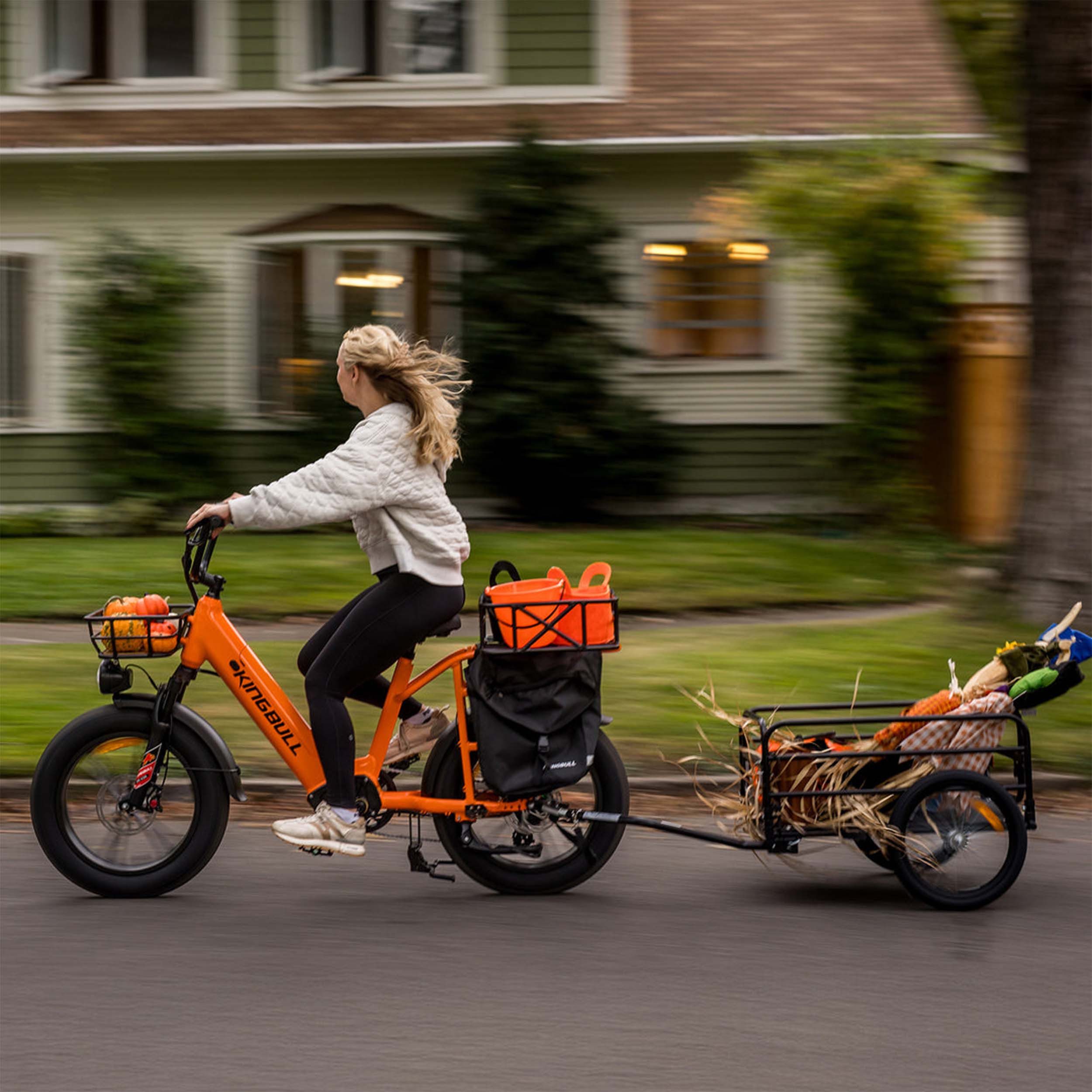 Vankel E-Bike Cityrad Cargo Damen u. Herren 20"x4" 960Wh 48V, max.100km Hydraulikbremsen, Kettenschaltung, Heckmotor, 960 Wh, (Beleuchtungsset mit Batterieladegerät, Batterieschlüssel, Werkzeug), Lasten-Elektrofahrrad mit Fat-Reifen, großem Transportträger