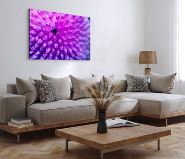 Sinus Art Leinwandbild 120x80cm Wandbild auf Leinwand Koralle Wasserpflanze Violett Makrofoto, (1 St)