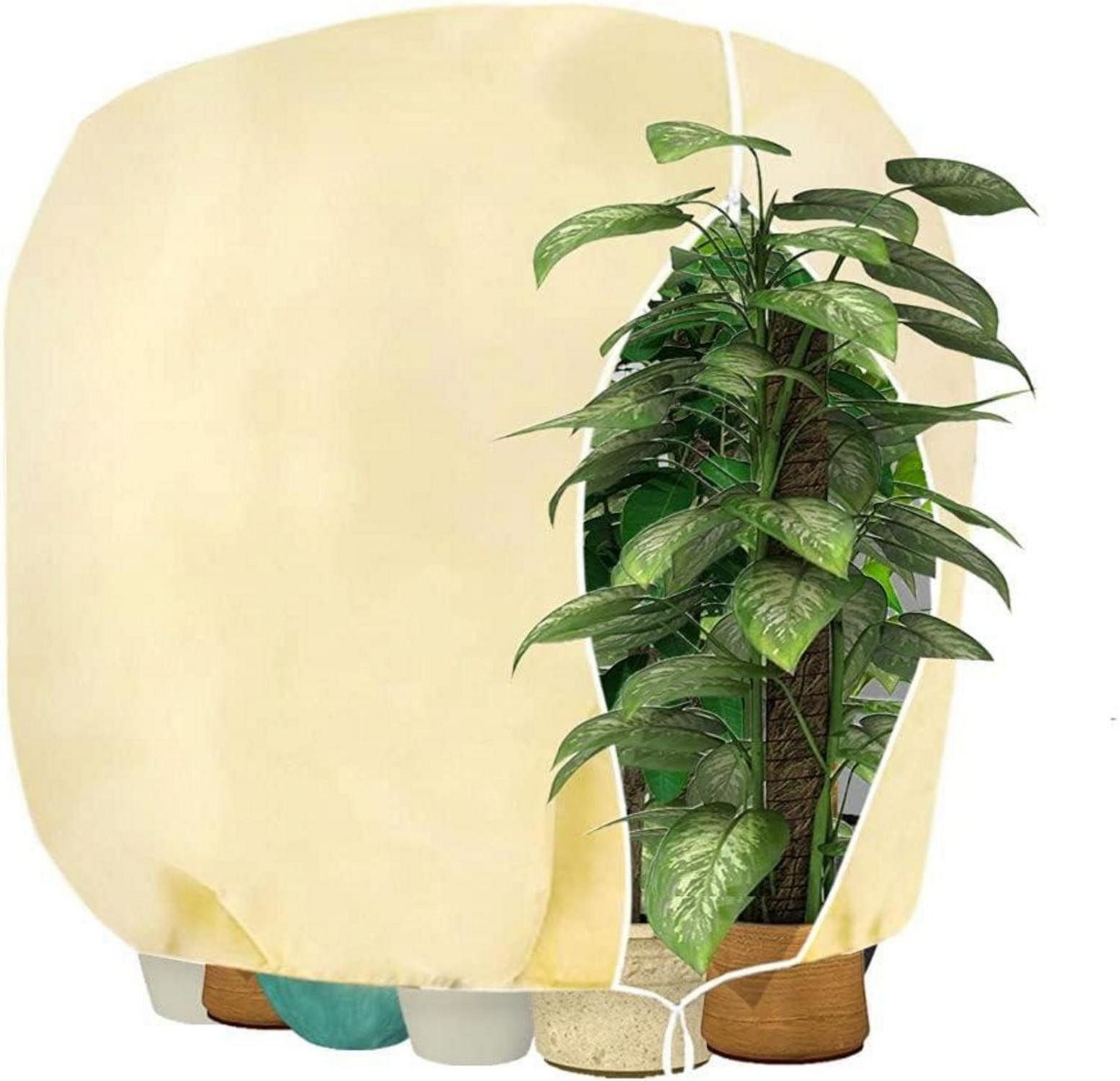 LuxusKollektion Abdeckhaube Winterschutz Pflanzenabdeckung Baum Palmen Balkon 160x240cm beige