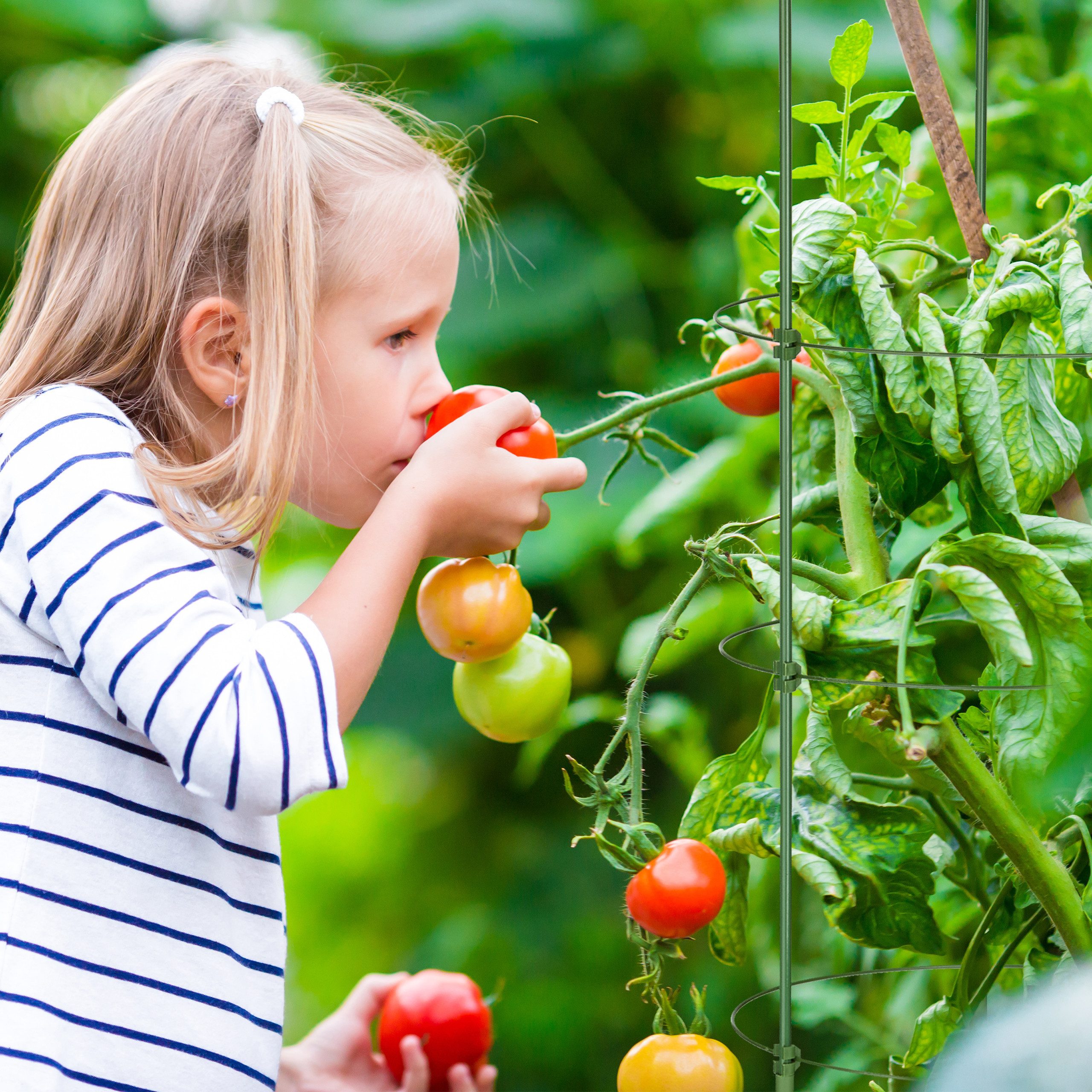 relaxdays Rankhilfe 2er Set