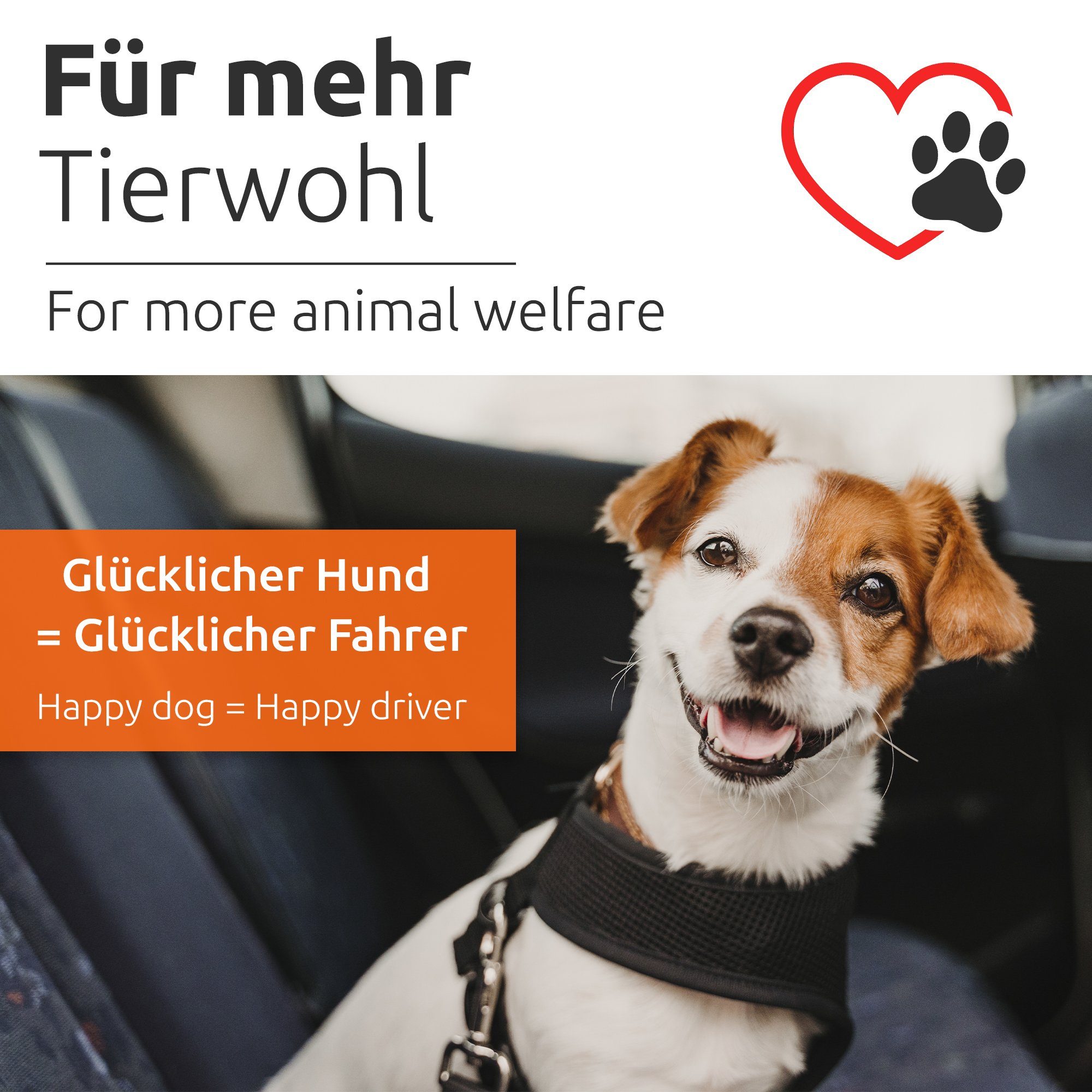 ECENCE Autohundegeschirr 1x Hunde-Gurt Auto Sicherheitsgurt elastisch