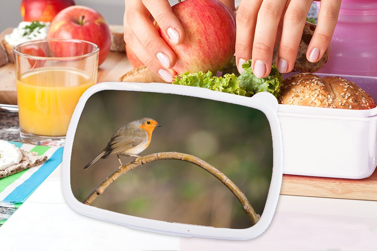 (2-tlg), Brotdose, Natur, Kinder weiß und - Vogel für für Mädchen - Jungs Brotbox und MuchoWow Erwachsene, Rotkehlchen Kunststoff, Lunchbox