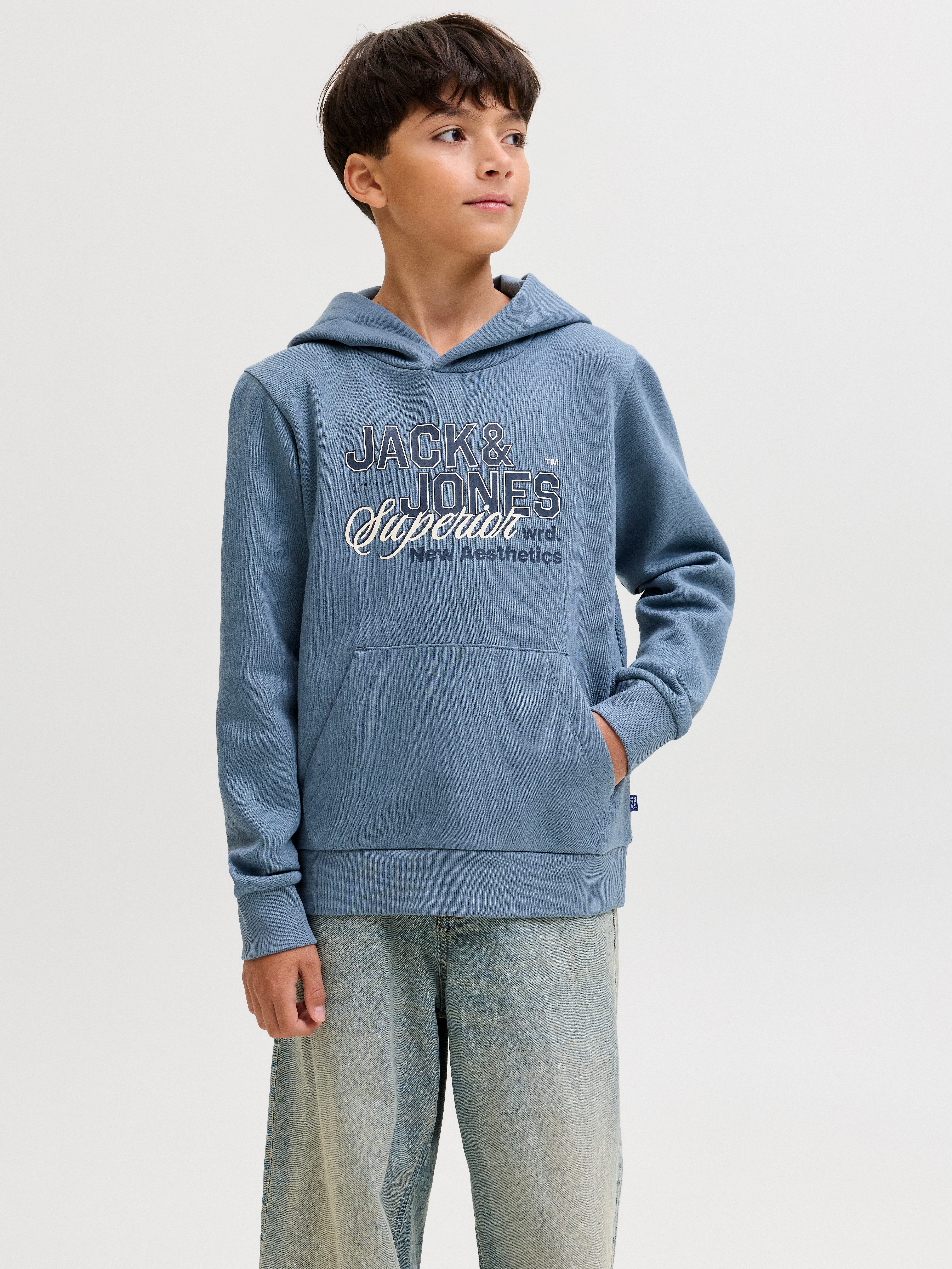 Jack & Jones Junior Kapuzensweatshirt JJELOGO SWEAT HOOD 2 COL AW25 NOOS JNR