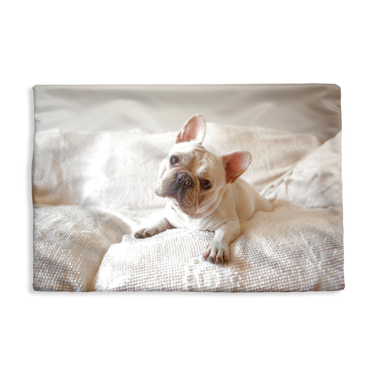 MuchoWow Dekokissen Französische Bulldogge - Bank - Vorleger, Kissenbezug für Sofa, Аксессуары для домаkissen, Kissenhüllen, 50x30 cm