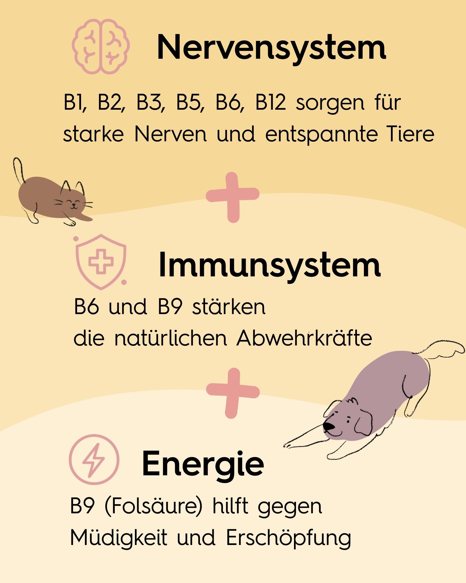 Lucky Pets Vitamin B Komplex für Hunde - hochdosiert, starkes Immunsystem, Nahrungsergänzungsmittel für: Hunde, Katzen