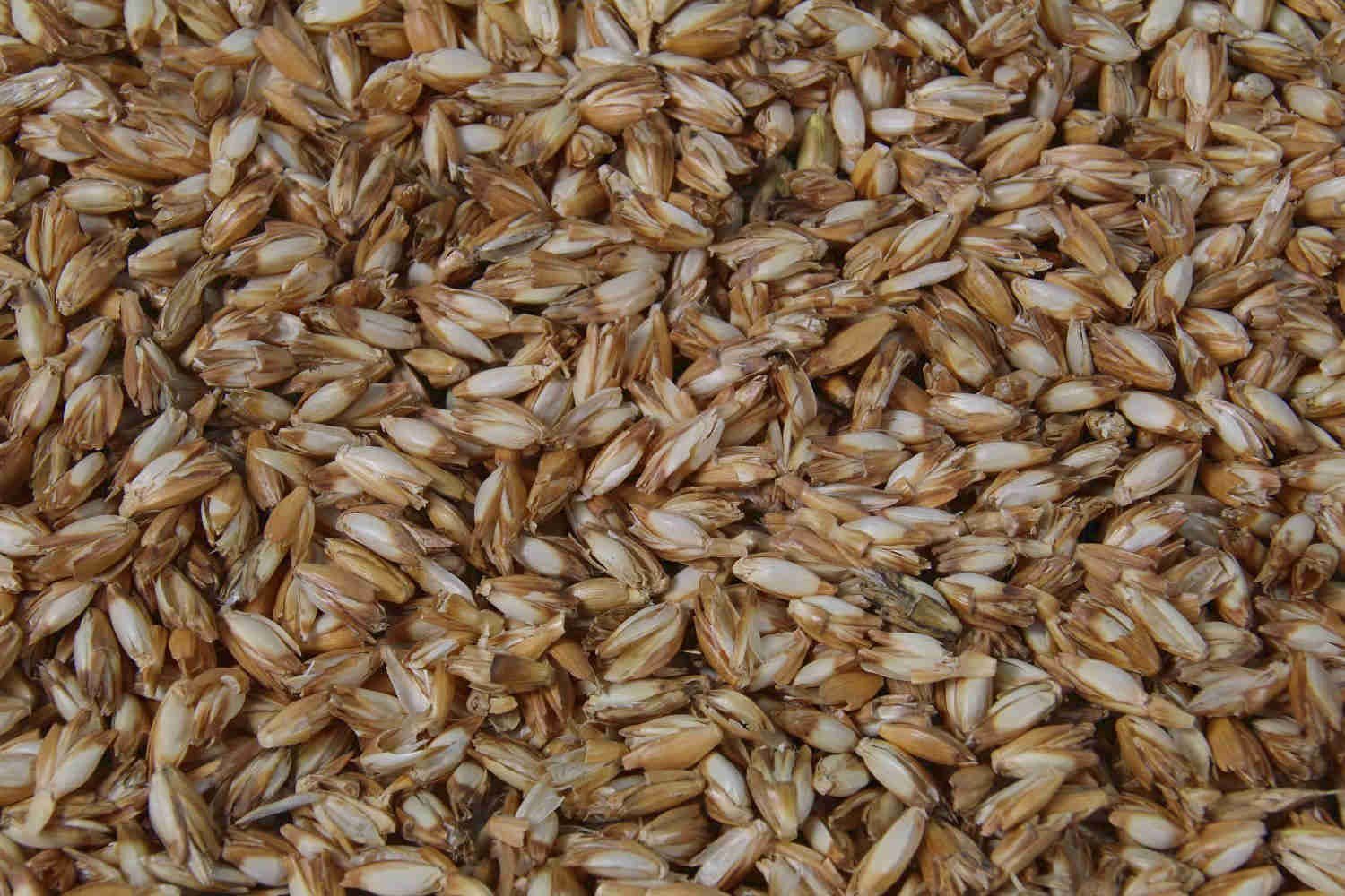 fränkische Schlaf-Manufaktur Gesundheitskissen Sonderangebot!!! 2 Dinkelspe günstig online kaufen