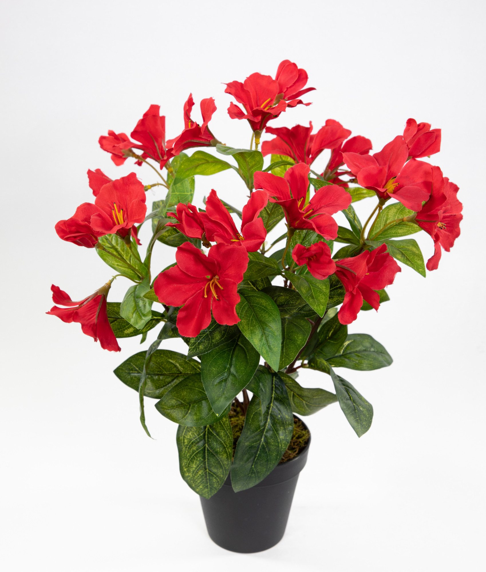 Kunstblume Hibiskus 40cm im Topf ZF Kunstpflanzen Blumen künstlicher Eibisch Hibiskus, Seidenblumen Roß, Höhe 40 cm, Rot