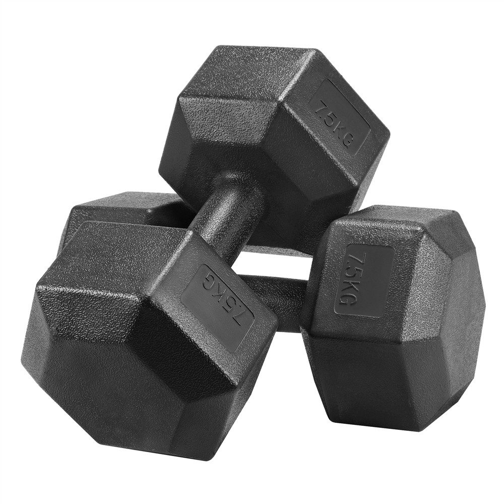 Yaheetech Kurzhantel 8/10/12/15/16/20 kg, (2er Set), 2er Kurzhanteln Hanteln Set für Krafttraining oder zu Hause