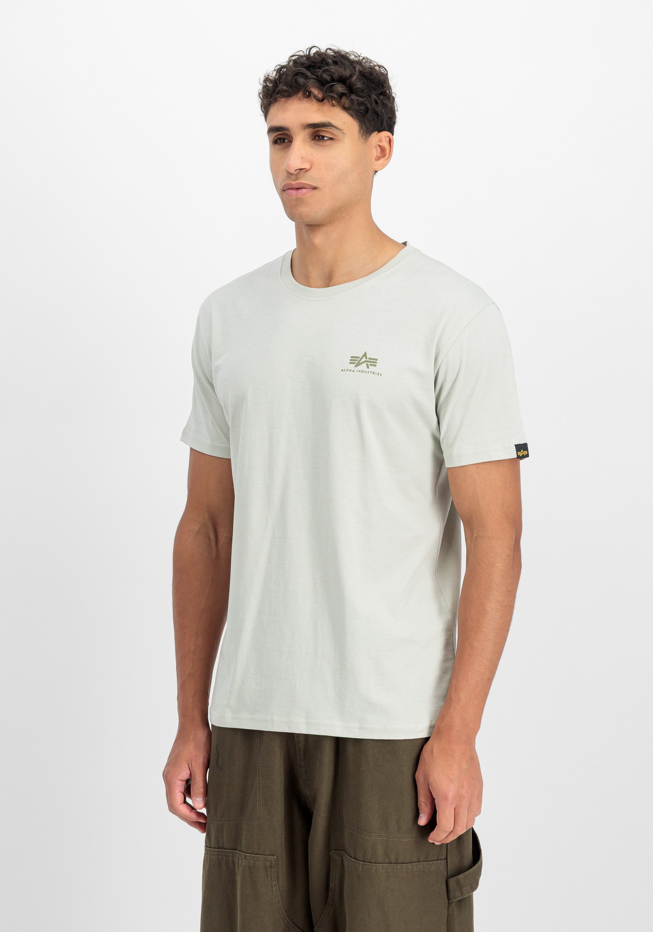 Alpha Industries T-Shirt Backprint T-Shirt Camo Print günstig online kaufen