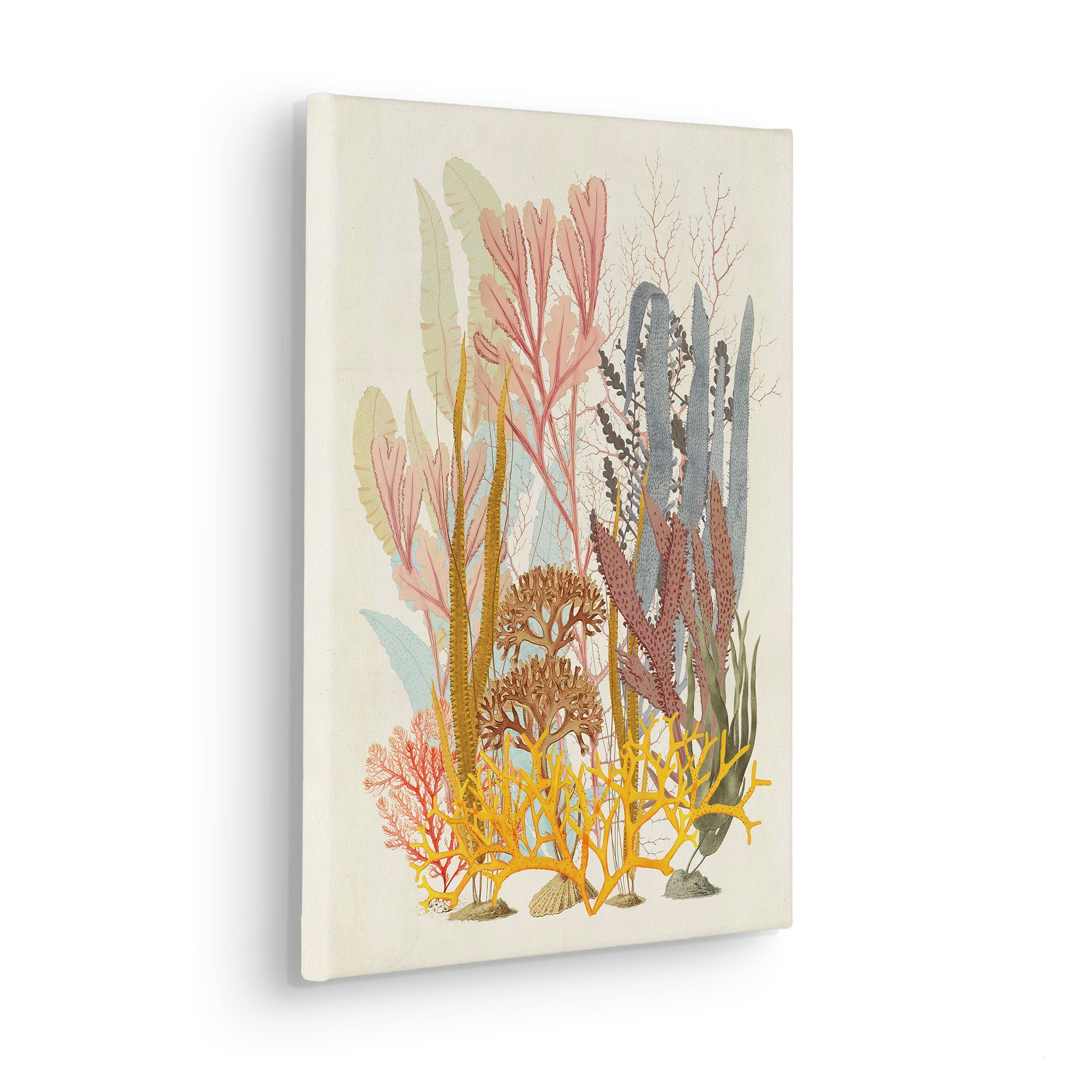 Komar Leinwandbild Coral Aqua - Größe 30 x 40 cm, Natur (1 St), Keilrahmenbild mi Echtholzrahmen