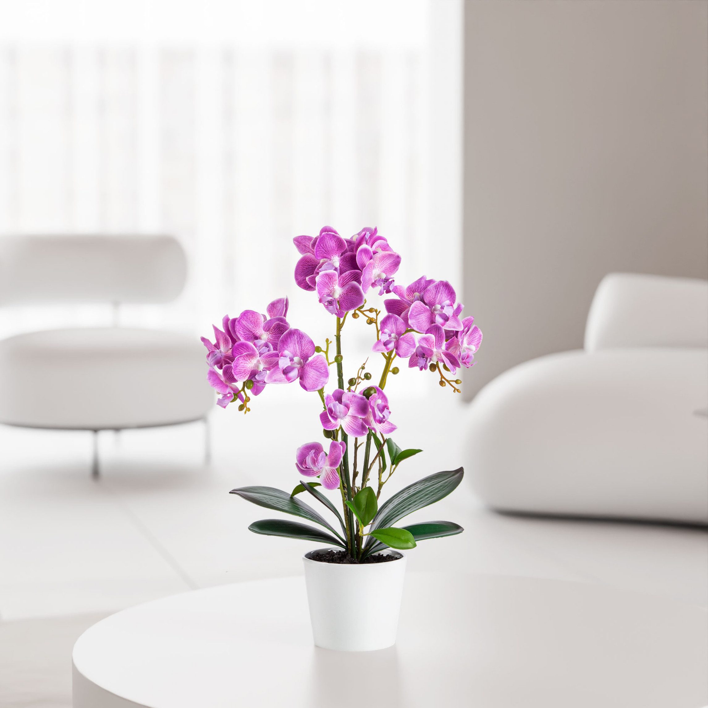 Kunstorchidee PASCH® Orchidee künstlich wie echt (46cm) in Hochglanz-Kerami günstig online kaufen