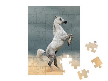 puzzleYOU Puzzle Schöner Araberhengst, Prärie, 48 Puzzleteile, puzzleYOU-Kollektionen Pferde, 48 Teile, Araber Pferde