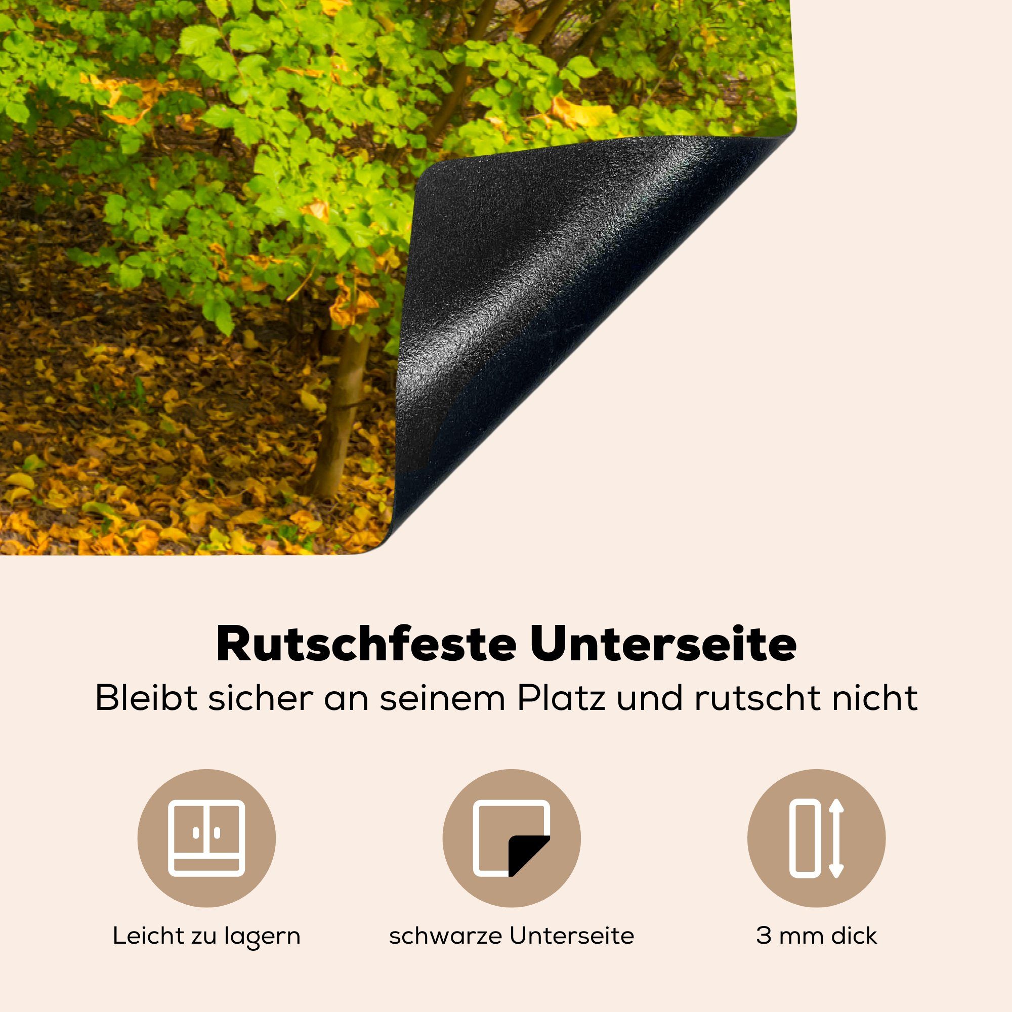 cm, Induktionskochfeld tlg), Herdblende-/Abdeckplatte Ceranfeldabdeckung Ulmenwald küche, Herbst, im für Vinyl, Schutz MuchoWow die (1 81x52