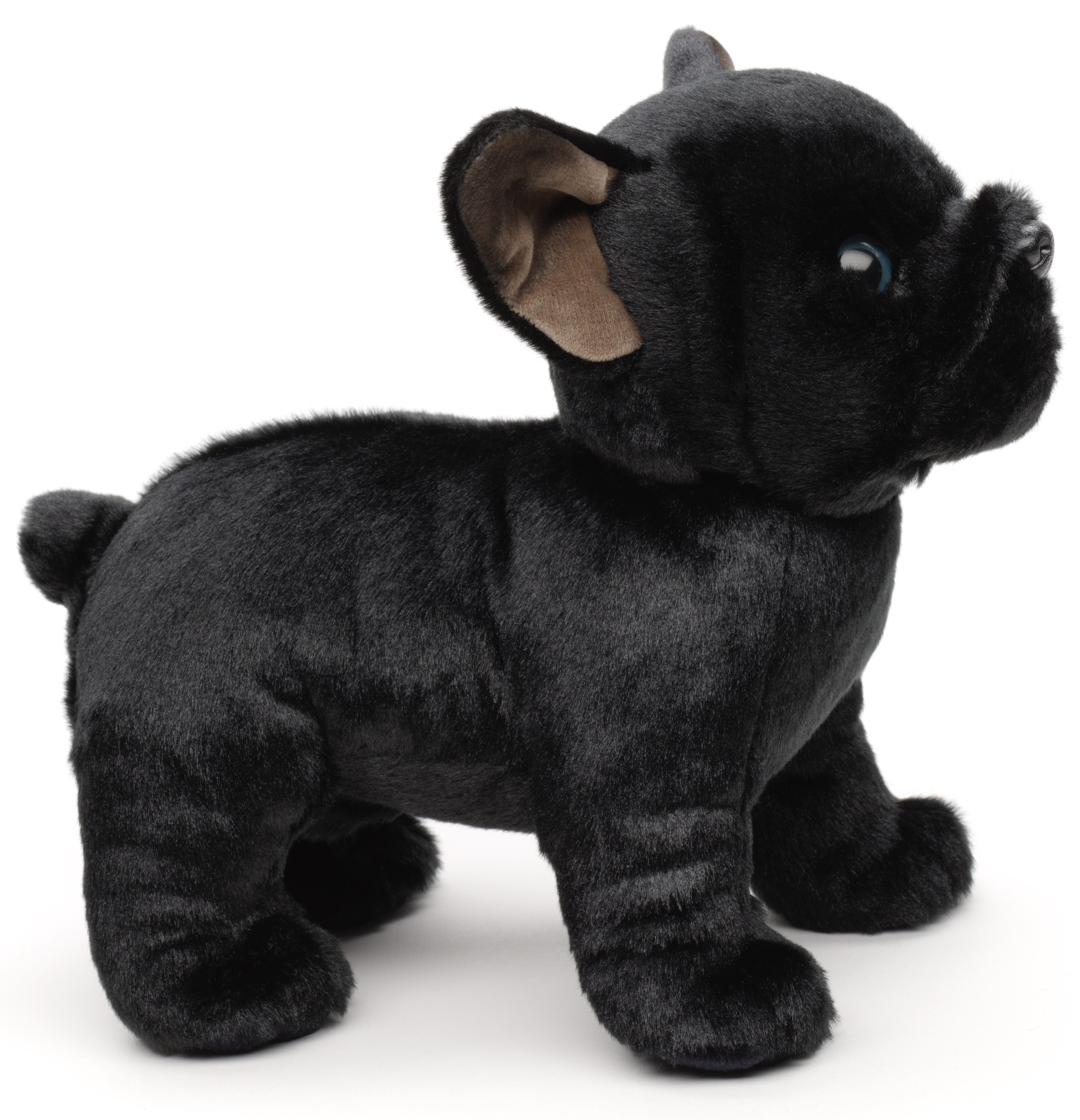 Uni-Toys Kuscheltier Französische Bulldogge (schwarz) - Mit/Ohne Leine - 26 cm - Plüschtier, Uni-Toys Eco-Line - zu 100 % aus recyceltem Plüsch gefertigt