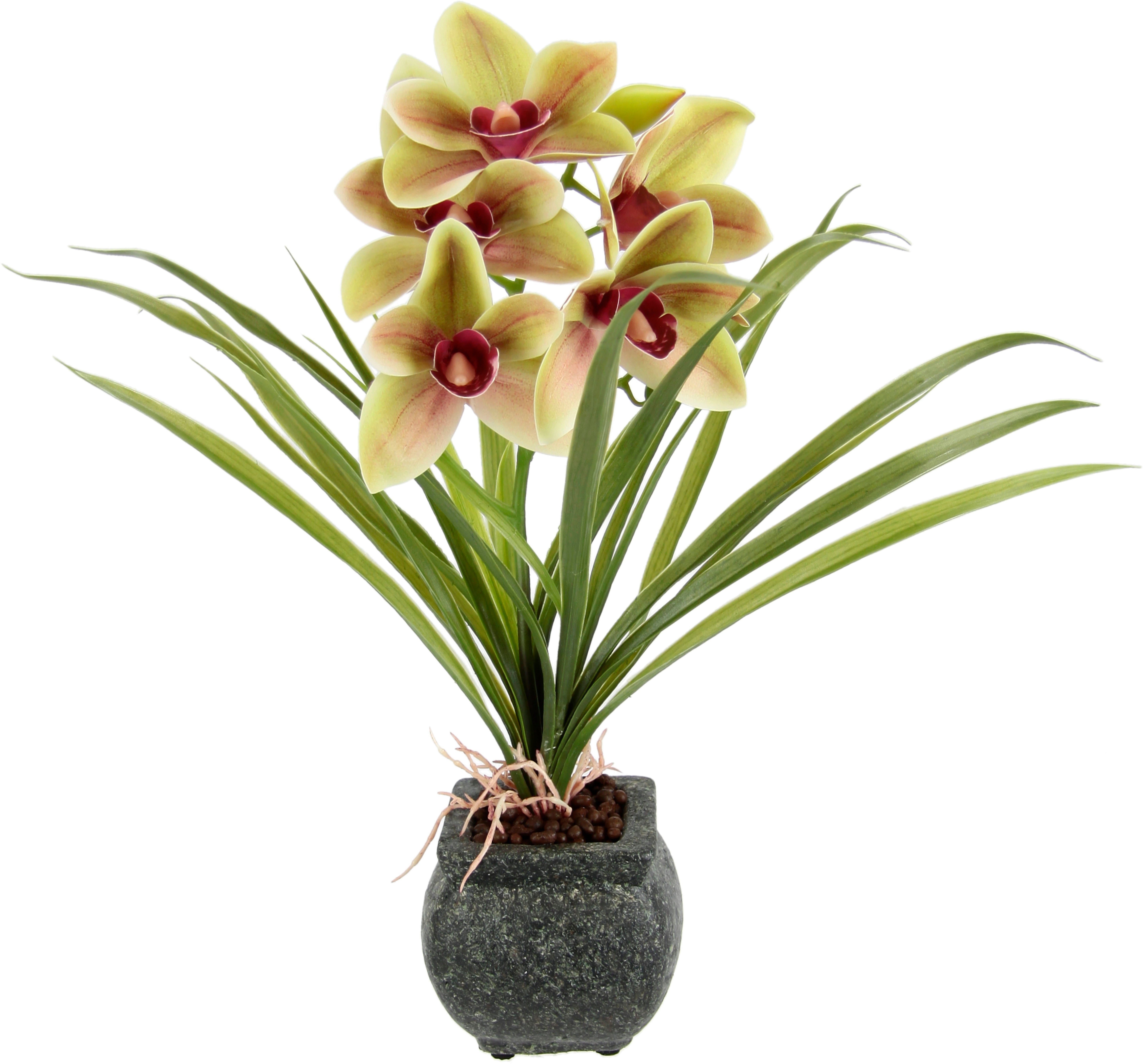 my Künstliche Topf Orchidee, aus Höhe Kunstblume home, Zement Cymbidium-Orchidee Grün/Rosa 40 im cm, Mit Blume Blätter