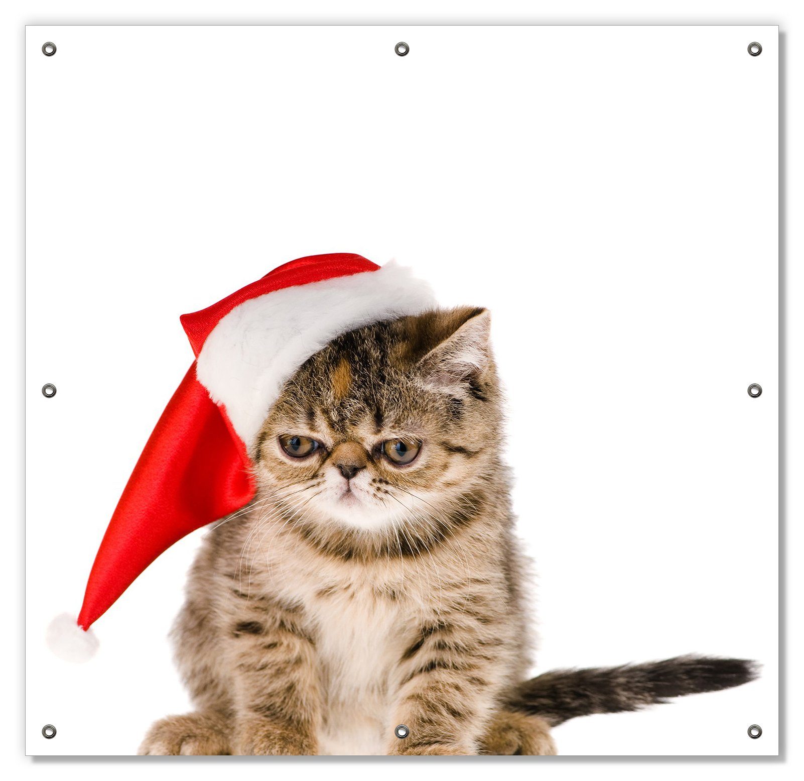 Sonnenschutz Ich hasse Weihnachten - mürrische Katze mit Weihnachtsmütze, Wallario, blickdicht, mit Saugnäpfen, wiederablösbar und wiederverwendbar | Fensterfolien