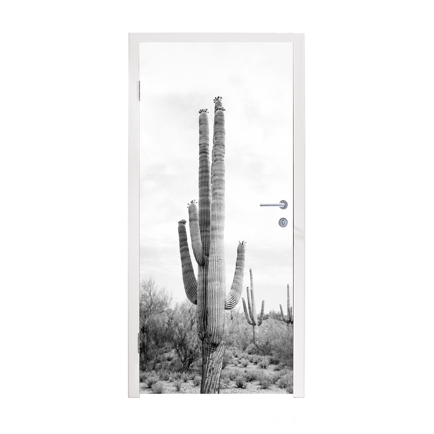 MuchoWow Türtapete Kaktus - Schwarz und weiß - Natur - Pflanzen, Matt, bedruckt, (1 St), Fototapete für Tür, Türaufkleber, 75x205 cm