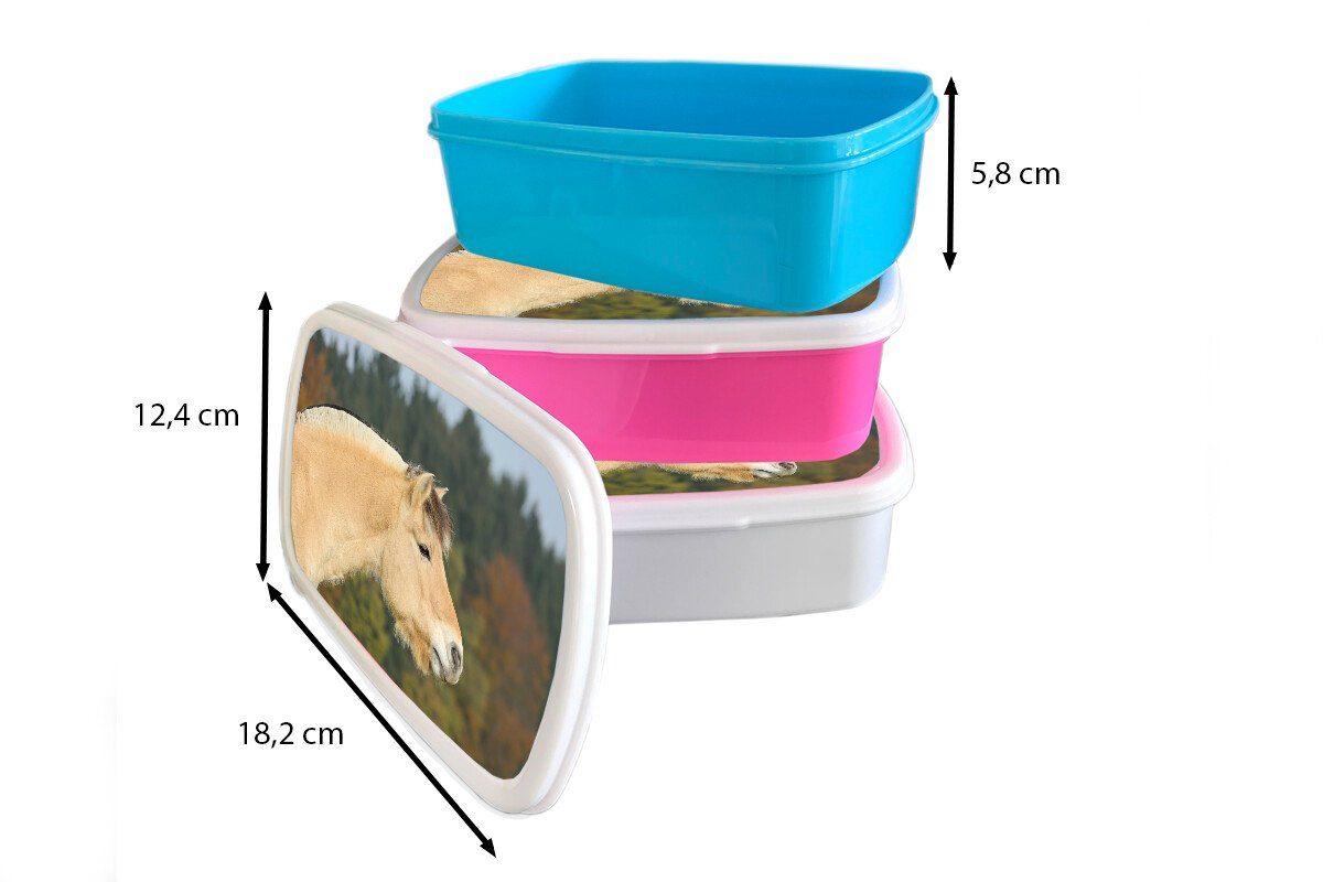(2-tlg), Nahaufnahme MuchoWow und Brotdose, Fjordpferdes, für weiß eines Kunststoff, Mädchen Jungs Lunchbox Brotbox und hellbraunen Erwachsene, für Kinder