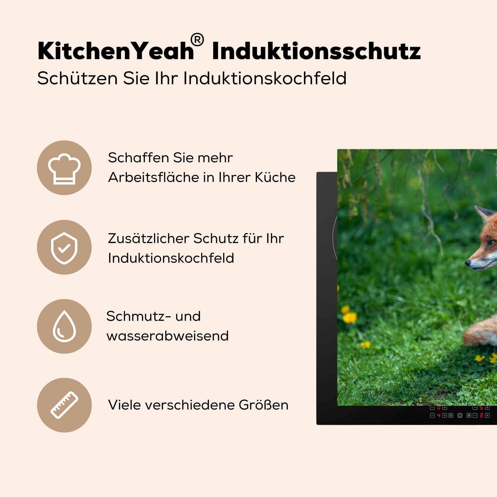 Herdblende-/Abdeckplatte Induktionskochfeld MuchoWow Fuchs die - - 81x52 Gras Baum, cm, tlg), küche, Vinyl, (1 Schutz Ceranfeldabdeckung für