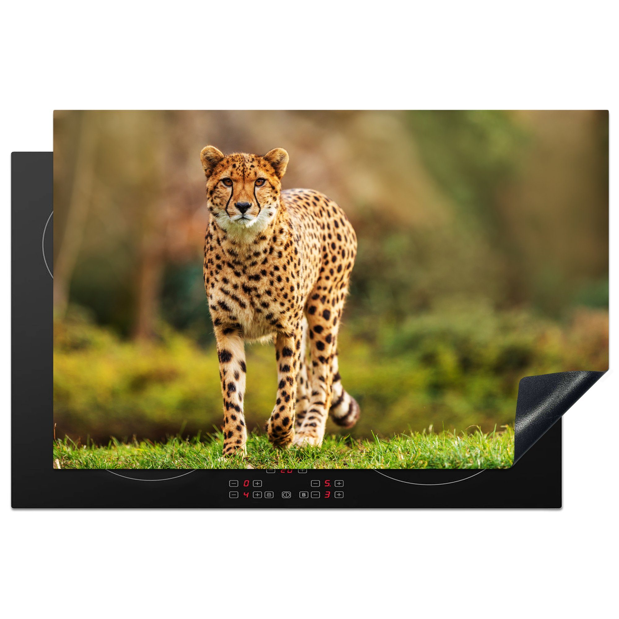 Gras - tlg), Herdblende-/Abdeckplatte MuchoWow Ceranfeldabdeckung, küche Vinyl, - für 81x52 Wildtiere Leopard (1 - cm, Natur, Arbeitsplatte