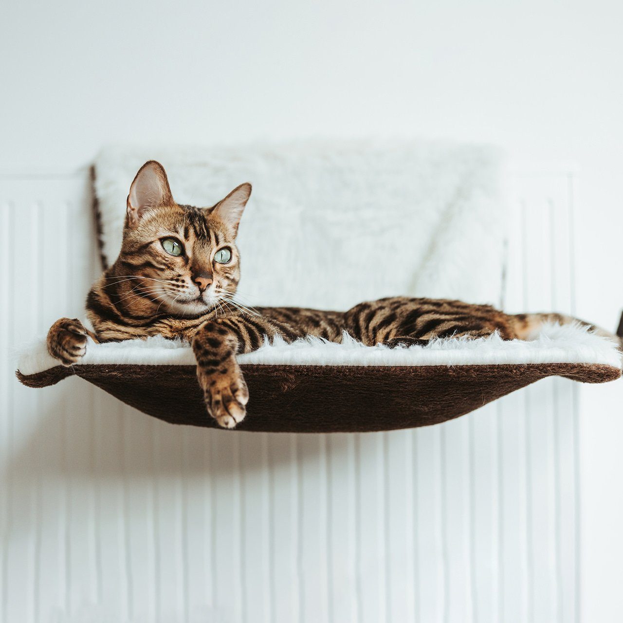 Canadian Cat Company Katzen-Hängematte Langhaar Liegemulde günstig online kaufen