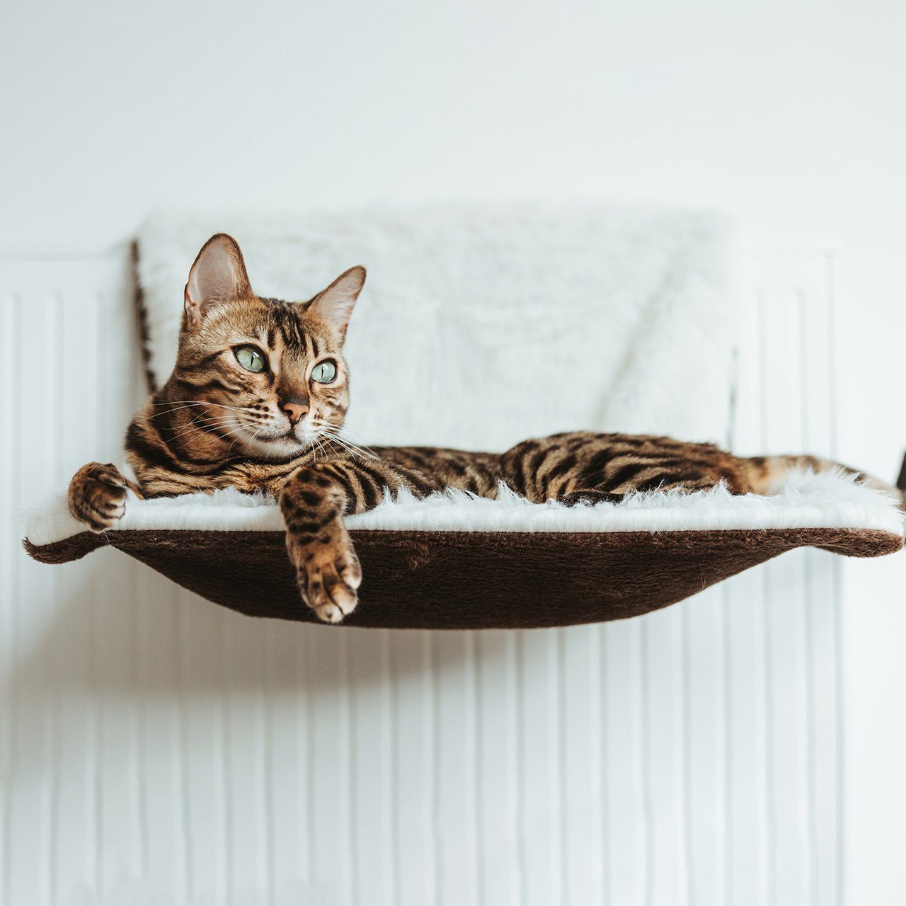 Canadian Cat Company Katzen-Hängematte Langhaar Liegemulde für Katzen-  braun-weiß, zur Befestigung am Heizkörper