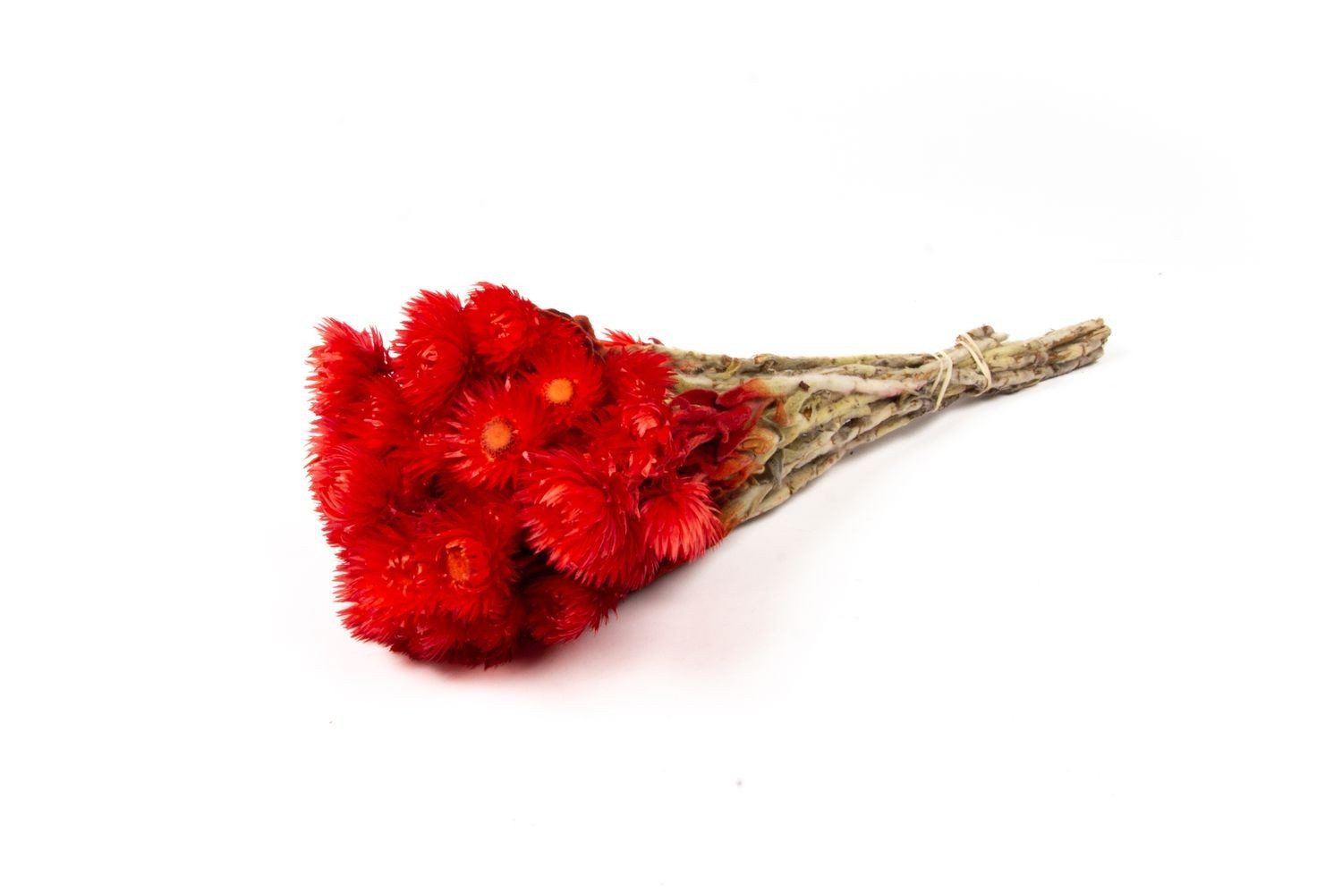 Trockenblume Sonnenblumen Trockenstrauß Bibiana, rot, 35-45cm, Ø15cm, INNA-Glas, Höhe 45.0 cm