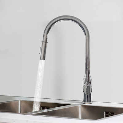 DAKYAM Spültischarmatur Wasserhahn Küche Bad Küchenarmatur Waschtischarmatur ausziehbar mit Ausziehbrause