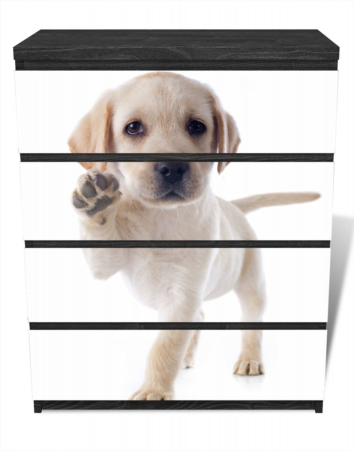 Wallario Möbelfolie Süßer Labrador-Welpe sagt Hallo