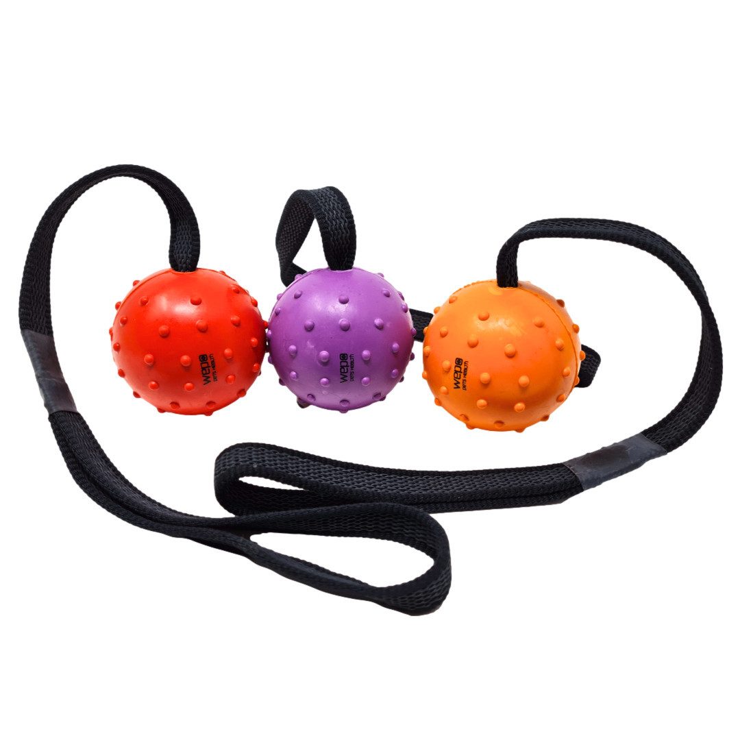 WEPO Schleuderball Hundespielzeug - Hunde Ball zum Werfen & Apportieren (Set, 3-St., 3er Set Wurfball in Lila, Orange & Rot), Ø 6cm