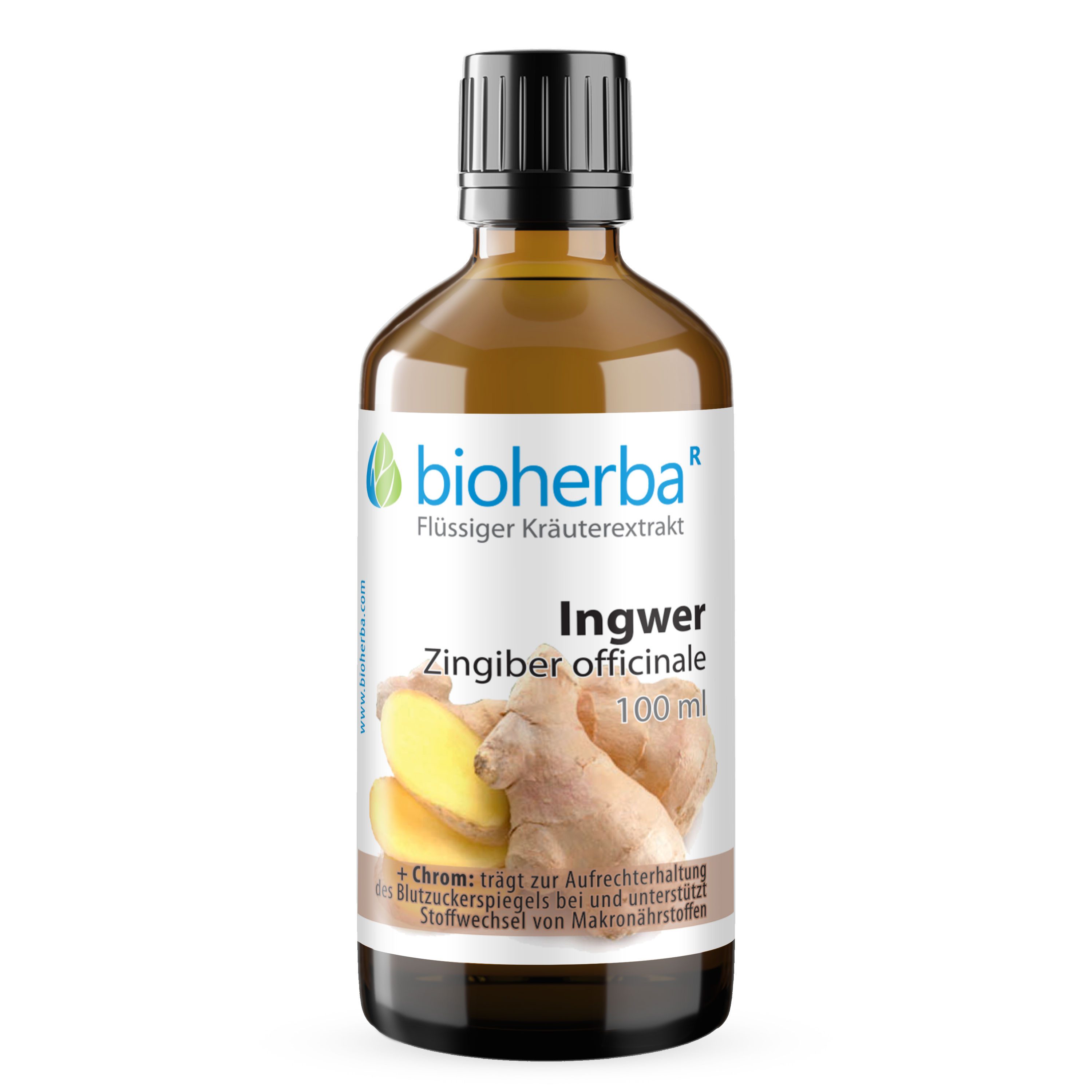 BIOHERBA R Bioherba Ingwer Zingiber officinale Tropfen Tinktur 100 ml Nahrungsergänzungsmittel, 1 er
